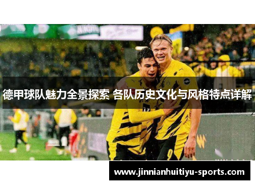 德甲球队魅力全景探索 各队历史文化与风格特点详解