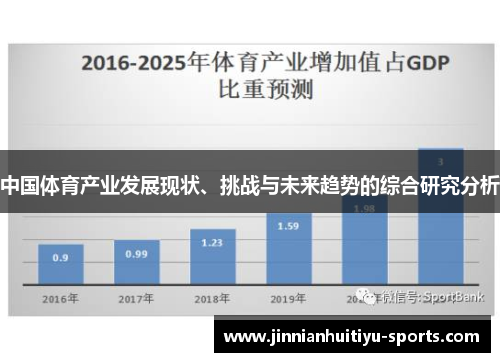 中国体育产业发展现状、挑战与未来趋势的综合研究分析