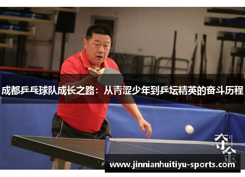 成都乒乓球队成长之路：从青涩少年到乒坛精英的奋斗历程